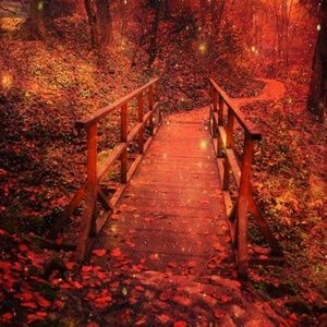 Meet your Posher, Mandi